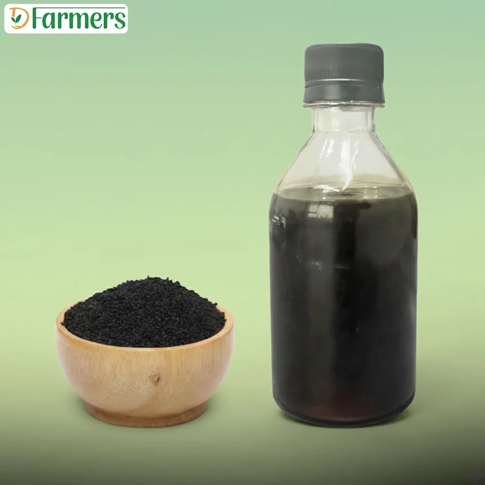 কালোজিরা তেল/Black Seed Oil
